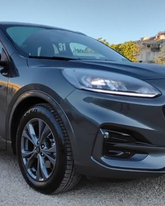 Ford Kuga 2.0 EcoBlue 120 CV aut. 2WD ST-Line