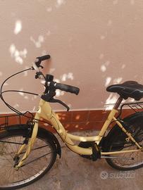 Bici da passwggio