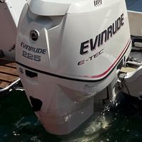 Motore fuoribordo Evinrude 225