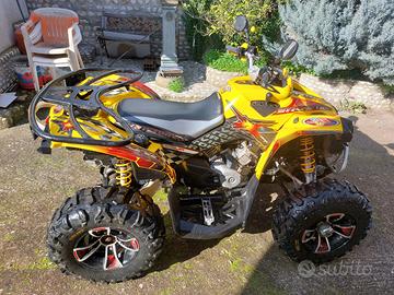 Can -Am renegade 800