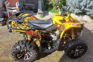 Can -Am renegade 800