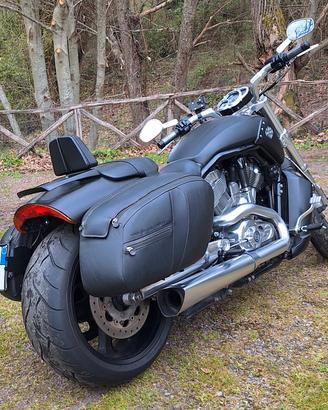 Harley-Davidson V-Rod Muscle