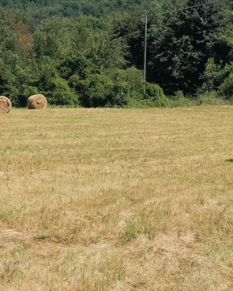 Balloni/Rotoballe di fieno
