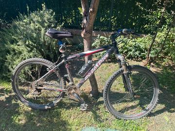 MTB Olympia Leopard