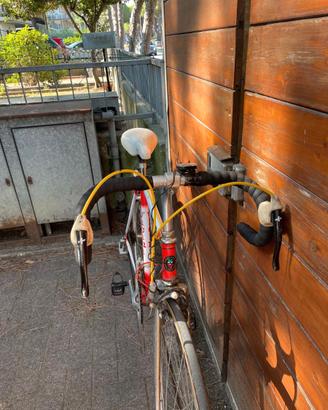 Bici vintage Vicini