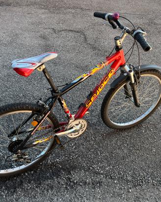 Mountain Bike Carraro