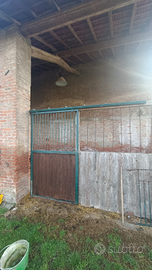 Porte box per cavalli