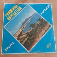 Dischi in vinile 33 giri 