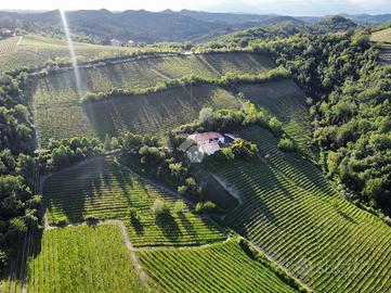 ATTIVITÀ A PONZANO MONFERRATO