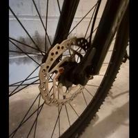 Kross 29"
