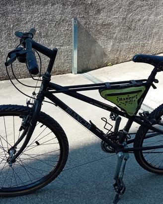 Bicicletta uomo