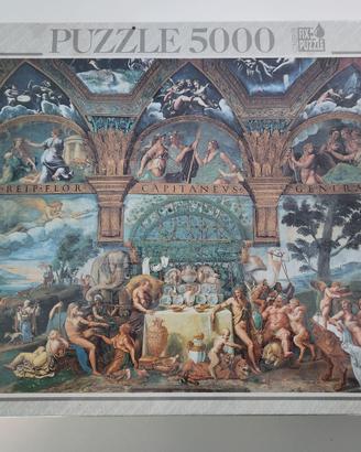 Puzzle 5000pz  Le nozze di Psiche e Cupido
