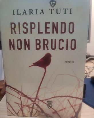 risplendo non brucio