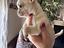 Immagine 4