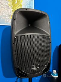 Cassa amplificata 14’’ soundsation
