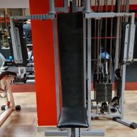 pectoral machine