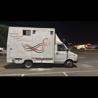Trasporto cavalli