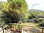 Immagine 19
