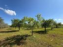 ter-agricolo-a-santeramo-in-colle