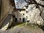 Immagine 14