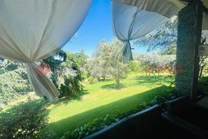Villa o villino Scandiano [Cod. rif v311VRG]