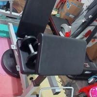 Palestra