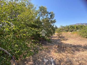 TER. AGRICOLO A TRABIA