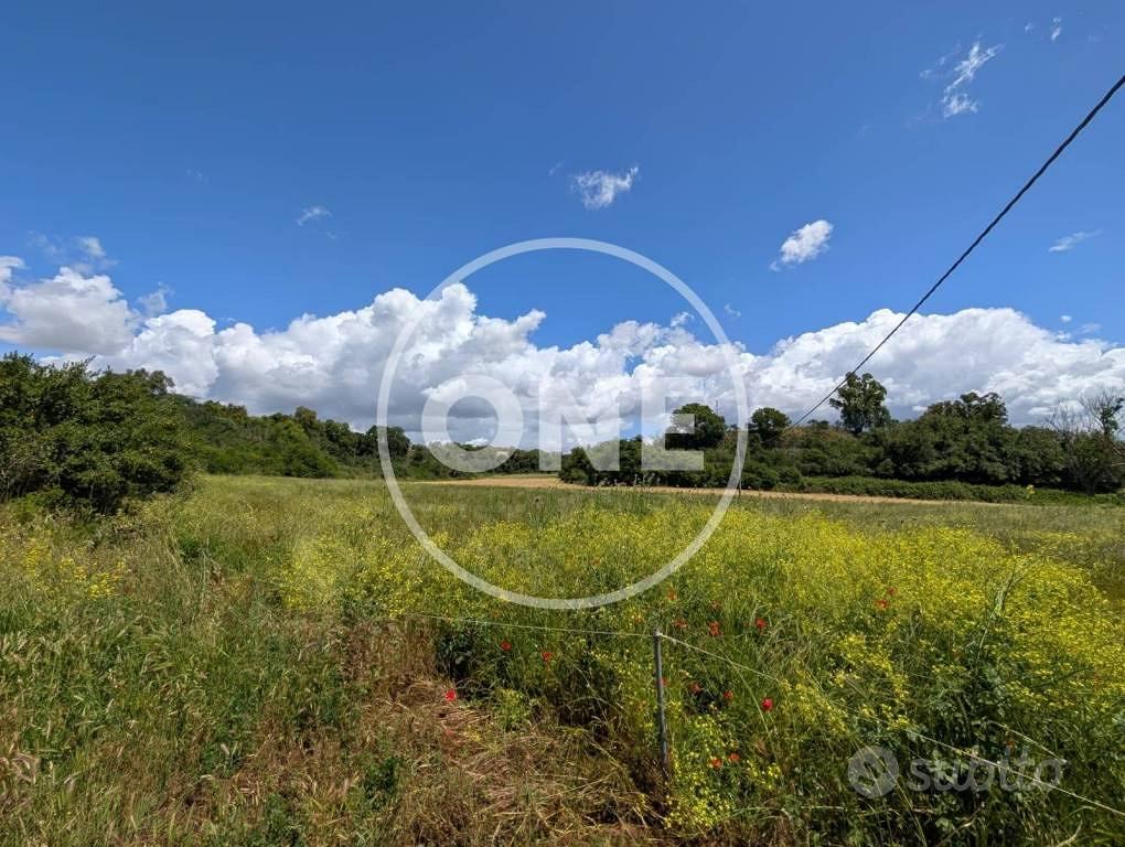 Terreno di 60000 m² a Ardea - Vista 3