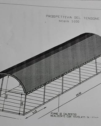 tendostruttura