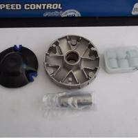 Variatore Polini per Piaggio 50 241613