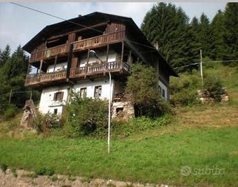 Tabia da ristrutturare in Comelico Cadore
