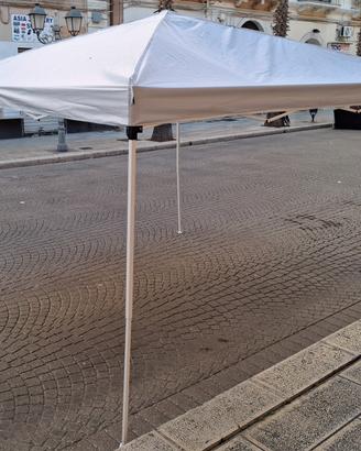 Gazebo (3m x 3m)
