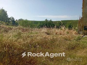 TERRENO AGRICOLO CON POTENZIALE EDIFICATORIO E VIT