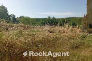 TERRENO AGRICOLO CON POTENZIALE EDIFICATORIO E VIT