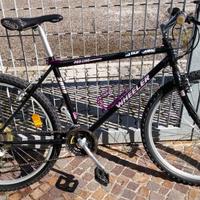 Moutain bike taglia S WHEELER 2800