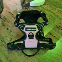 PETTORINA GUINZAGLIO per cani piccoli 