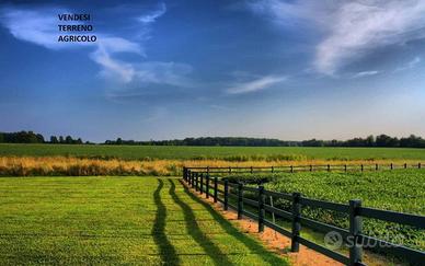 7,5 ettari a Piangipane