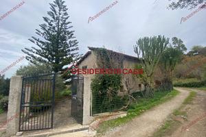 Casa, Termini Imerese.