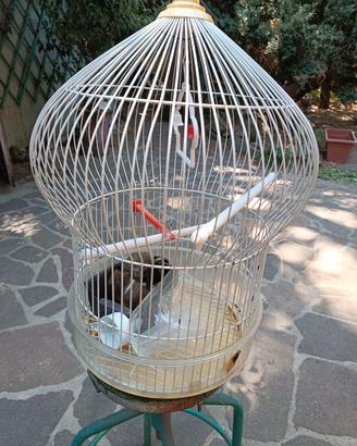 Gabbia circolare x uccelli 