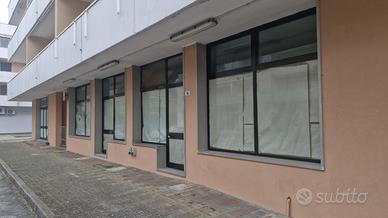 Vendita locale commerciale rosapineta