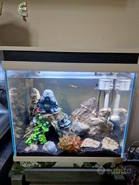 Acquario Moderno 35 Litri 