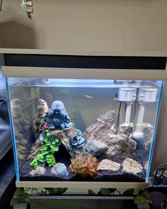 Acquario Moderno 35 Litri 