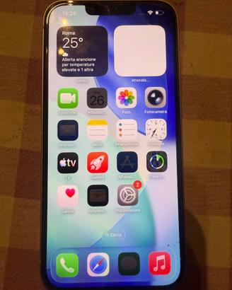 iPhone 13