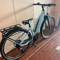 E-BIKE LIV