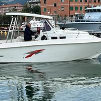 Walk around 25 piedi con o senza motore 250 2024