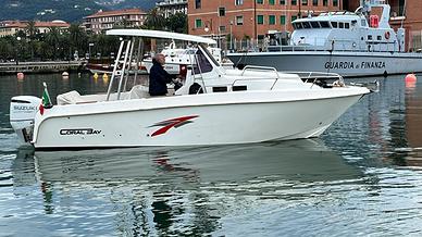 Walk around 25 piedi con o senza motore 250 2024