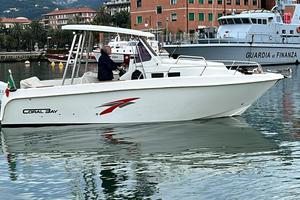 Walk around 25 piedi con o senza motore 250 2024