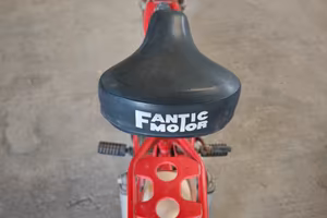 FANTIC MOTOR LEI (1974)