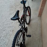 Mountain bike ammortizzata