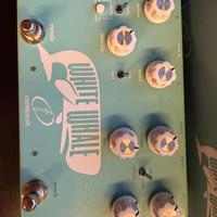 Crazy Tube Circuits White Whale V2